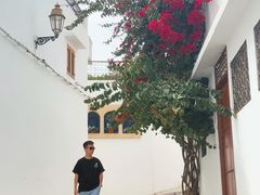 -乌达雅堡