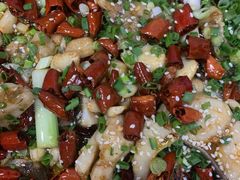 -东吴霸王兔(松青路店)