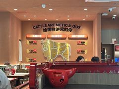 -辣可可·小炒黄牛肉(望京凯德MALL店)