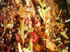 -老板恋上鱼(印象城店)