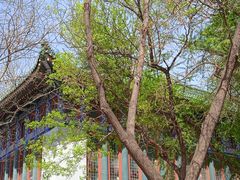 -国家图书馆·古籍馆
