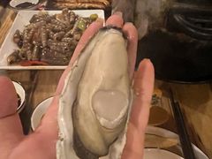 -土蚝·高压锅生蚝(百姓美食街店)