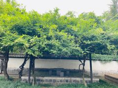 -戚继光故里