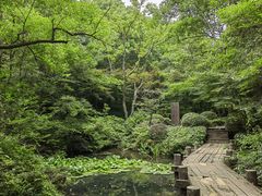 -杭州半山国家森林公园