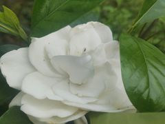 -华农酸奶文化馆