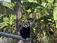 -宁波野生动物园