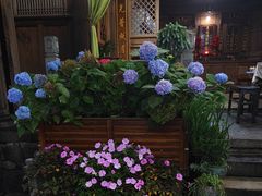 -龙姐私房菜(和顺古镇店)