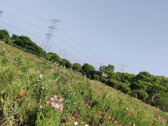 -上海杨姆庄园