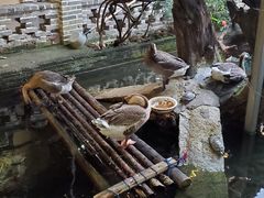 -优之名鹅城
