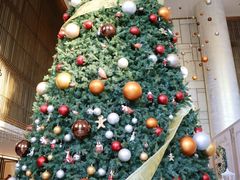 -王府半岛酒店·大堂茶座