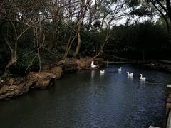 -兰亭风景区