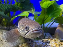 -上海海洋水族馆