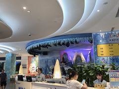 -帝企鹅自助餐厅•儿童岛•真企鹅(长隆企鹅酒店)