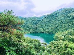 -鼎湖山风景区