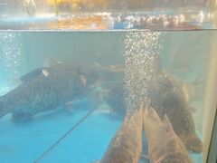 -耕渔小院·湖南鱼鲜(望城店)