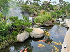 -罗红摄影艺术馆