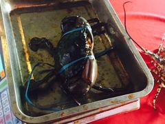 -灯笼馆海鲜餐厅