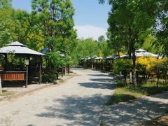 -西青郊野公园