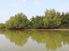 -东寨港红树林旅游区