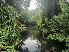 -广州兰圃