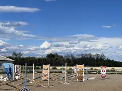 -北京群众马术培训基地