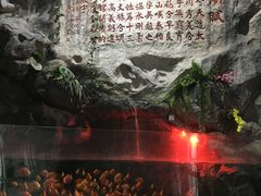 -苏州海洋馆