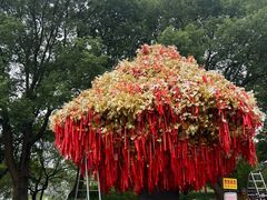 -狼山风景名胜区