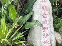 -广东惠东海龟国家级自然保护区