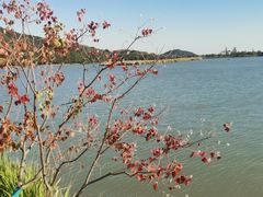 -南北湖风景区