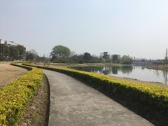 -同济大学(嘉定校区)