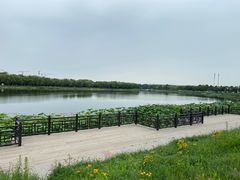 -素心小筑(后沙裕镇店)