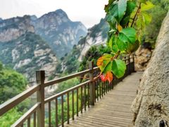 -黑龙潭风景区