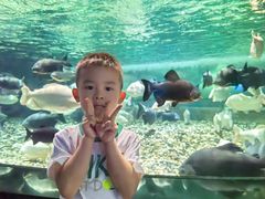 -成都浩海立方海洋公园