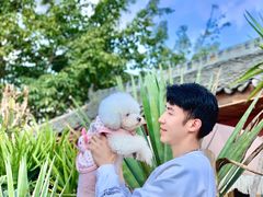 -三圣花乡旅游区