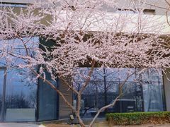 -Bracket Coffee(银河SOHO店)