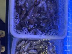 -威海渔村(静安旗舰店)