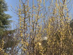 -华山御温泉度假村