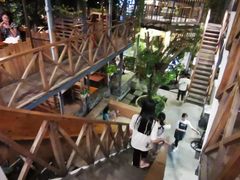 -Rainforest