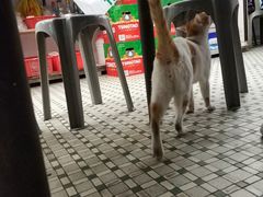 -凤城康记饭店