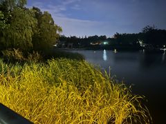 -大兴滨河森林公园