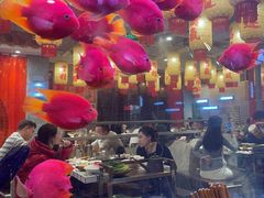 -朱光玉火锅馆(正弘城店)