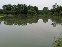 -桤木河湿地公园