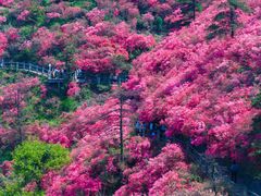 -木兰云雾山