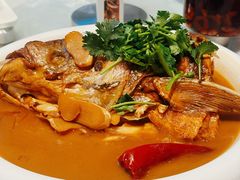 -燕郊烧鸽子(酷车小镇店)