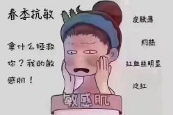 -香薇妮丝·定制减肥·身材管理