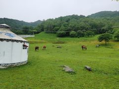 -大水川景区