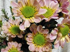 -循礼门鲜花花市(武汉循礼门店)