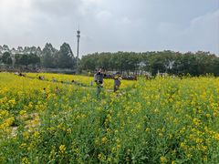 -光明小镇欢乐田园