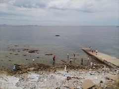 -养马岛旅游度假区