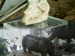 -中国第四纪冰川遗迹陈列馆